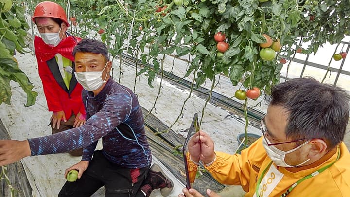 「産直」の取り組みが「地産地消等優良活動表彰」関東農政局長賞を受賞　コープデリ