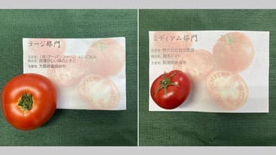 第1回全国トマト＜ミディアム・ラージ＞選手権開催　日本野菜ソムリエ協会