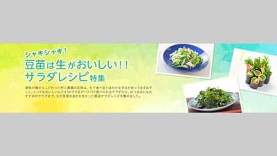 "生の豆苗"の魅力を紹介　レシピ特集ページを公開　村上農園