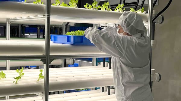 川崎市に6次化農業＆実習施設「Fun Eat Makers」オープン　コネクトアラウンド