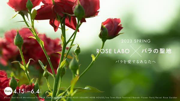 春爛漫のローズガーデンでPOPUP開催　15日から　ROSE LABO
