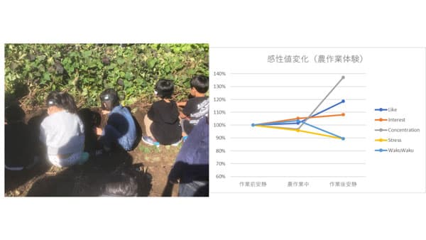 農作業体験が幼児の知的生産性向上に有効性を示唆　ストレスが10%低下