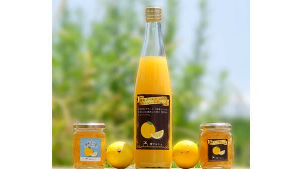 神奈川オリジナル柑橘「湘南ゴールド」のマーマレード＆ジュースを発売　金港青果