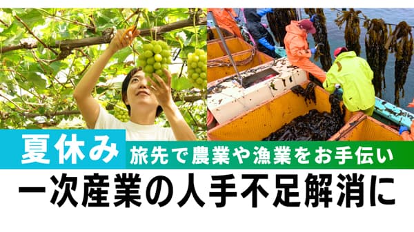農業・漁業の人手不足解消へ　夏休み「一次産業 おてつたび特集」開始