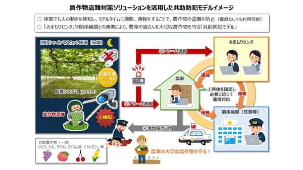 "農作物盗難対策ソリューションの効果検証"と"共助防犯モデルの構築"実証実験　NTT