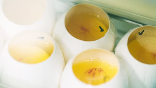 広島大発スタートアップのプラチナバイオ　キユーピーと資本業務提携を締結