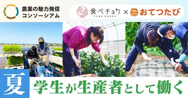 学生が生産者として働く機会を提供「#食べチョクおてつたび "夏"」開催