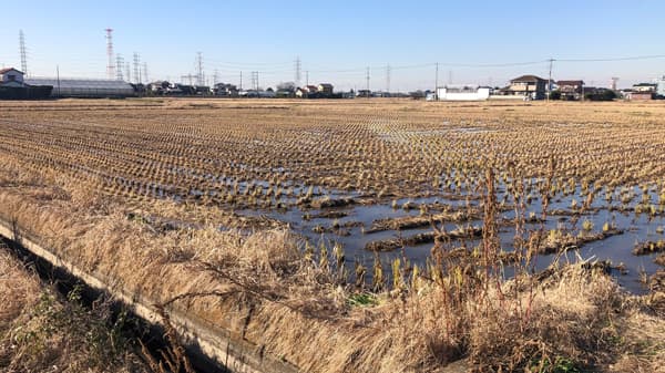 埼玉県吉川市・農業パーク構想にコンサルタントとして参画　アグリメディア