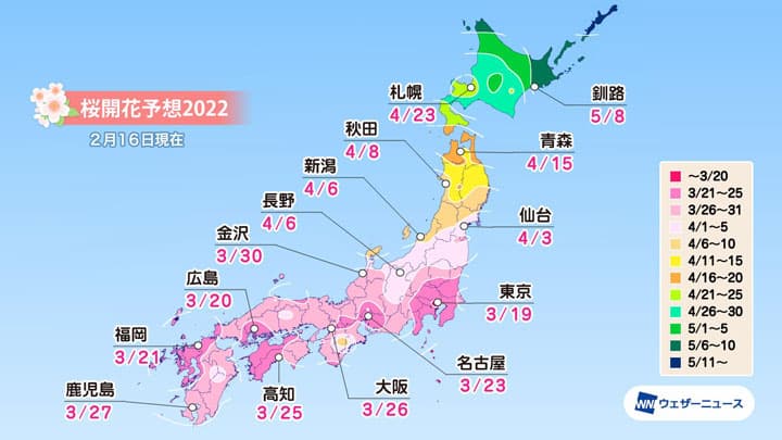 「第三回桜開花予想」発表　桜開花トップは東京で3月19日　ウェザーニューズ
