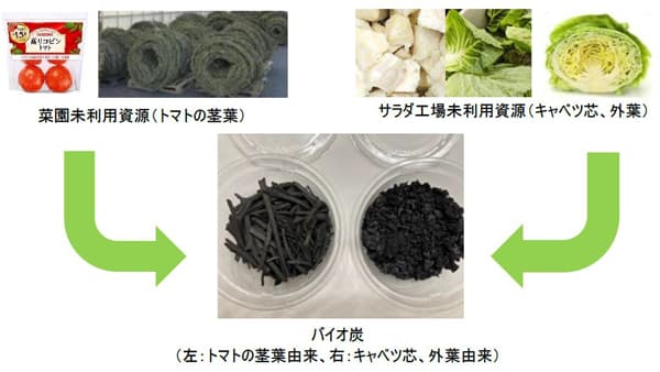 キユーピー×カゴメ　未利用野菜資源のバイオ炭化で共同研究