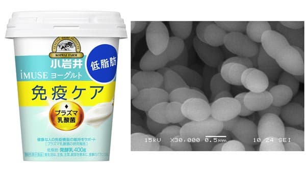 「プラズマ乳酸菌」含有「 iMUSEヨーグルト」に大容量・低脂肪タイプ登場　小岩井乳業