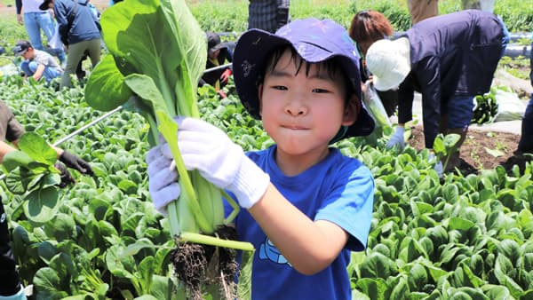 昭和村「宮田さんち」の畑で農業体験＆ミールキット試食　パルシステム群馬
