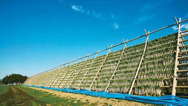 「伝統のやぐら干し・産直大根ぬか漬けたくあん」新発売　パルシステム