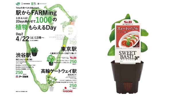 「駅からFARMing2023」S＆Bハーブ苗　東京駅で無料配布
