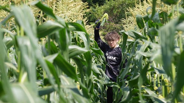 長野県木曽町で「2025開田高原農業体験プログラム」参加者募集中　REALE WORLD