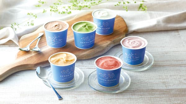 6次産業化のオリジナルジェラート　茨城県常総市のふるさと納税返礼品に登録　たねまき