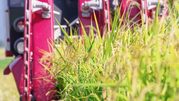 2025年「農業」の倒産は過去最多を更新　初の80件超え　帝国データバンク