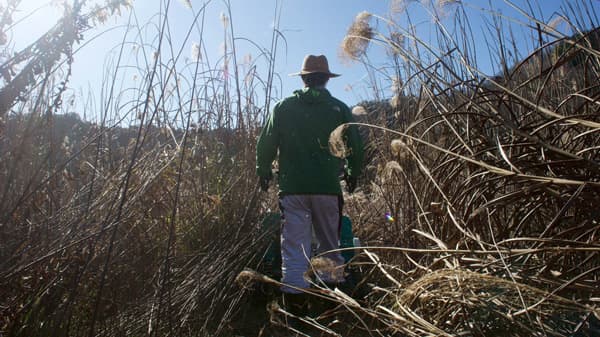 農業派遣の82Works　岐阜県揖斐川町に農業生産法人を設立