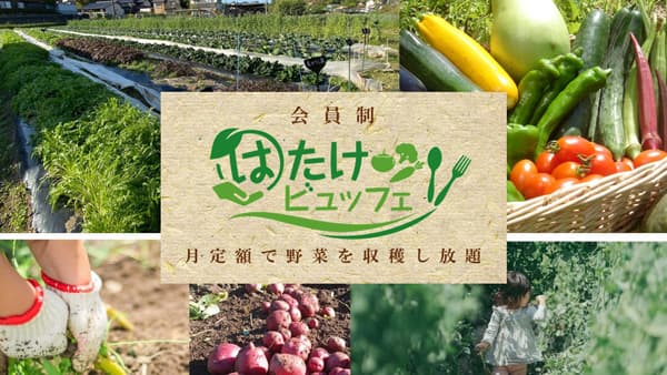 野菜採り放題で農家の労働時間を半減「農業×サブスク」全国6県に拡大　ノーティスト