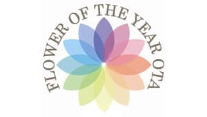 「フラワー・オブ・ザ・イヤーOTA2022」決定　見えてきた新たな評価基準　大田花き