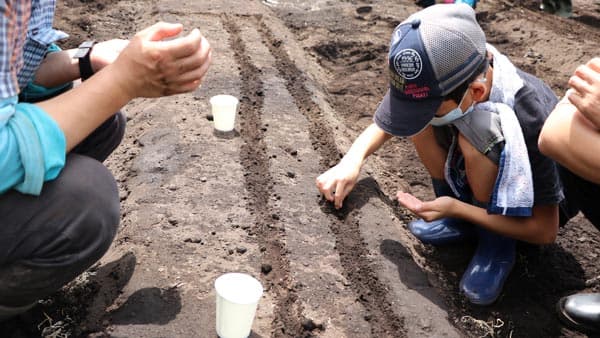 群馬産直協議会が親子農業体験企画「みんなの畑に集まれ！」開催　パルシステム