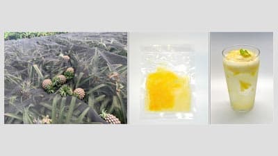 特殊冷凍のデイブレイク「国産食材の再発掘&流通強化プロジェクト」始動