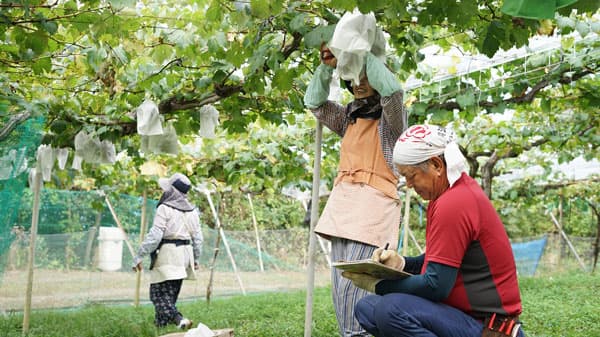 商工農福連携ビジネスモデルの確立へ　新会社「八天堂ファーム」設立　八天堂HD