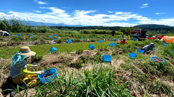 日藝×生活クラブ　2024年度産学連携プロジェクト開始