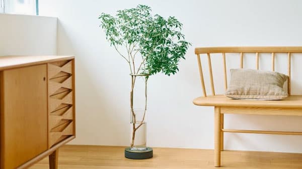 山に埋もれた自生樹木が収入源に　枝もの定期便「SiKiTO」と黒滝村森林組合が提携