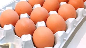 卵の価格が対前年比で30％上昇　資材高騰や鳥インフル影響　「上昇続けば農家に対応依頼も」