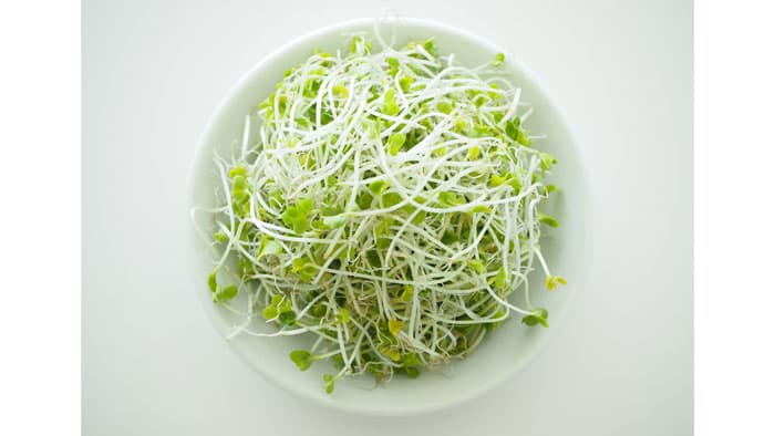 「ブロッコリースーパースプラウト彩りミックスサラダ」新発売　サラダクラブ