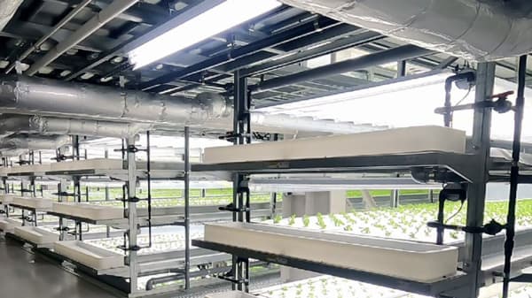 フードロス削減へ　植物工場産野菜を道の駅で販売　バイテックベジタブルファクトリー