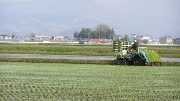 2022年産「予約登録米」の募集受付を開始　パルシステム