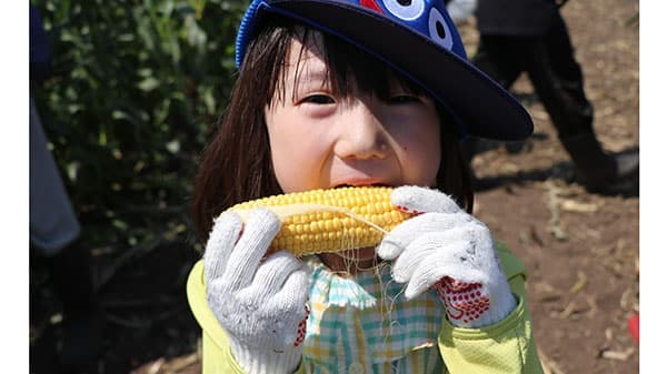生とうもろこしまるかじり　昭和村で農業体験開催　パルシステム群馬
