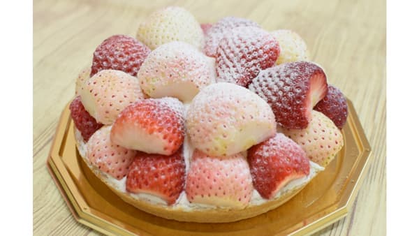 プレミアムな「いちごの里紅白タルト」登場　オンライン限定販売　観光農園「いちごの里」