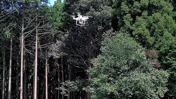 ドローンによる「樹木医リモート診断サービス」提供開始　アーバンエコリサーチ