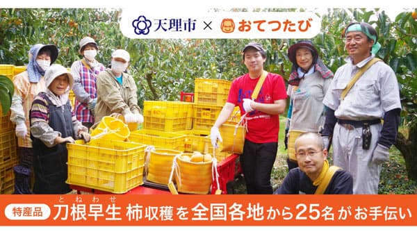 天理市と連携「刀根早生柿」収穫で「関係人口」創出へ　おてつたび