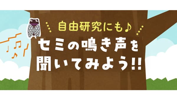 夏休み自由研究に「セミの鳴き声を聞いてみよう」WEBサイト公開　パルシステム