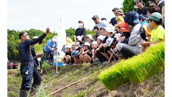 米作り体感　田植えから収穫まで「田んぼの学校」24日に開催　パルシステム茨城 栃木