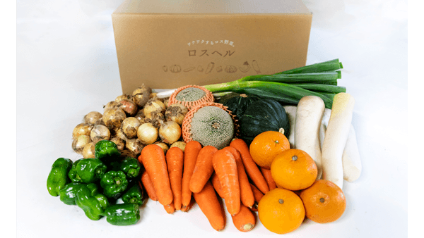 規格外野菜の定期配送「ロスヘル」1年で出荷総数1万箱突破　エクネス