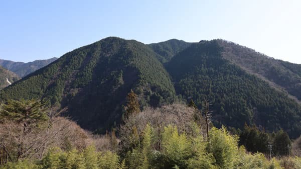 「サントリー 天然水の森 ぎふ中津川」森林整備に関する協定締結