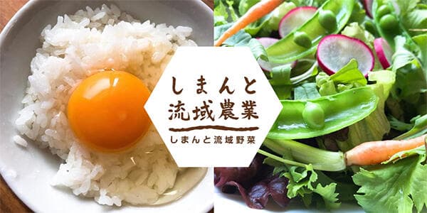 四万十川流域の畑から届く無農薬野菜や卵の定期便スタート