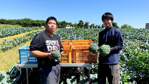 冷凍ブロッコリーの国産化と若手農業者育成へ　クラウドファンディングで支援募集