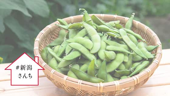 新潟県産食材の魅力発信「＃新潟さんち」展開