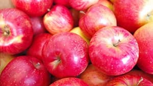 長野県飯綱町の特産品を産直で「みつどんマルシェ」オープン