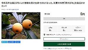 台風被害の「房州びわ」産地復興へ資金調達　千葉県南房総市とふるさとチョイス