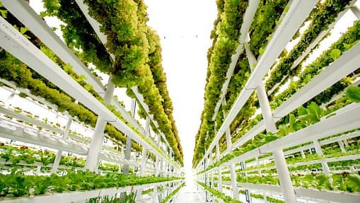 グローバル垂直農業市場の世界的な需要の分析と展望をレポート