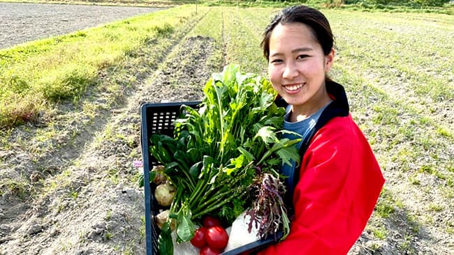 フードロス削減へ　新聞販売店で神戸の朝採れ野菜宅配サービス開始　タベモノガタリ