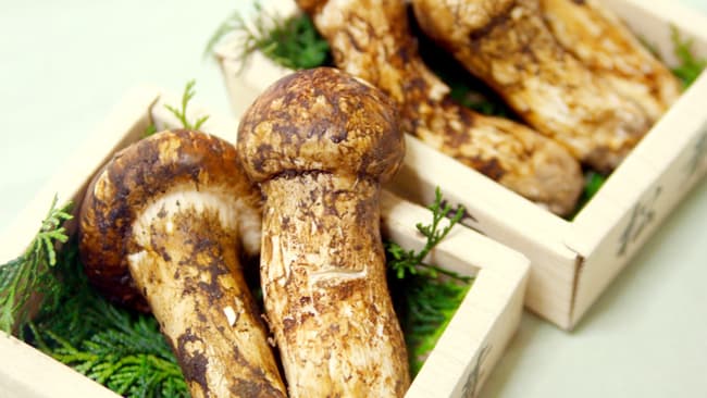 来場者数6万人突破記念「ドライブスルー八百屋」で松茸プレゼント