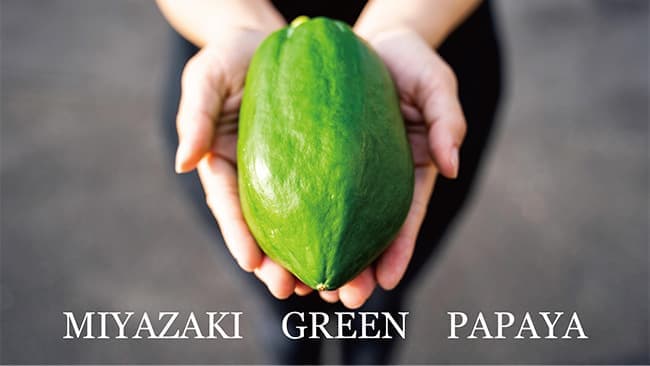 ふるさと納税に国産の青パパイア登場　宮崎県新富町